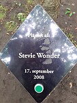Stevie Wonder