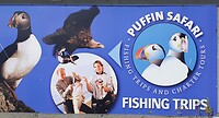 Puffin Safari