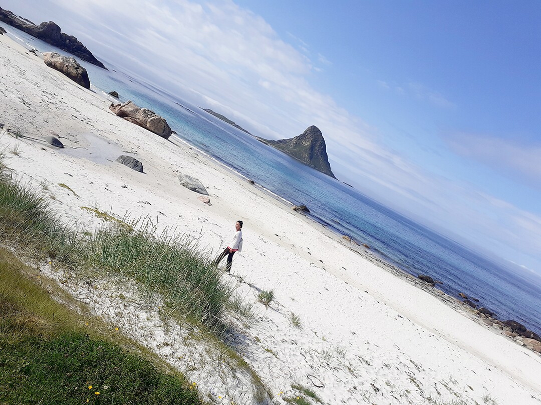 Scheve foto