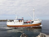 Toeristenboot om walvissen te spotten