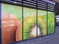 Kiwi poster