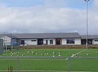 Meeuwen kunstgras