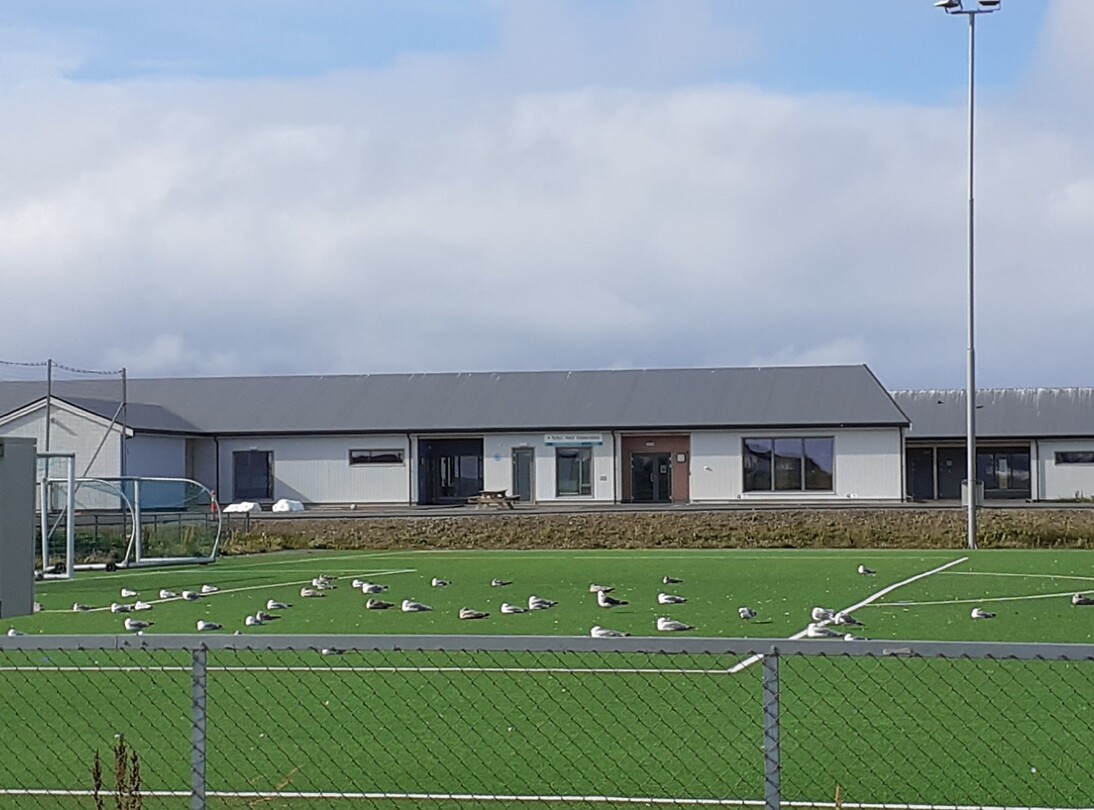 Meeuwen kunstgras