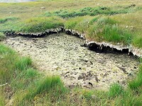 Uitgedroogde poel?