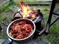 Pasta met witvis-tomaat