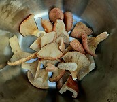 Baardige melkzwammen in de pot