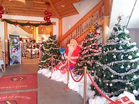 Kerstmis in inkomhal