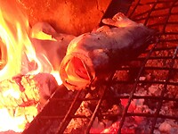 Visje zegt 'Ready to eat'