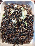 Geroosterde insecten 2
