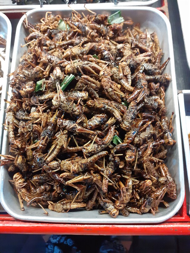 Geroosterde insecten 1