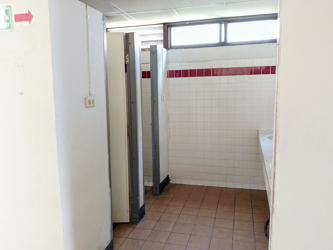 Ene kant 2 lavabo's, andere kant 2 wc's met douche in
