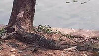 Plastiek hoort in de vuilbak!