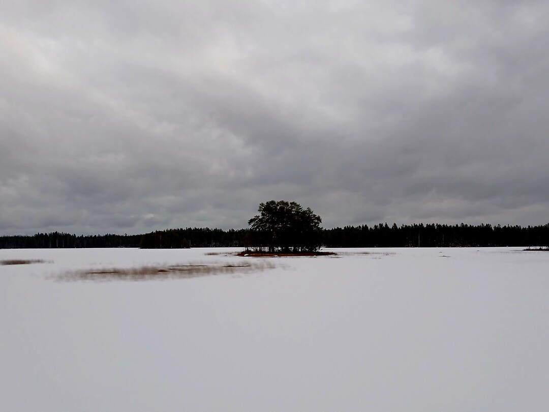 Vastgevrozen meer