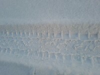 Sporen van welk voertuig?