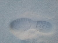 Sporen van welke mens?