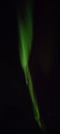 Noorderlicht c
