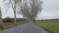 Rijden tussen de Platanen