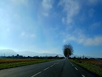 De Pyreneeën in de verte