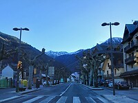 Knotsenwilgen-laan met Pyreneeën op achtergrond