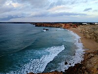 Surfers