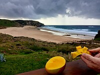 Mango-moment aan het strand