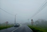Dagen in de mist