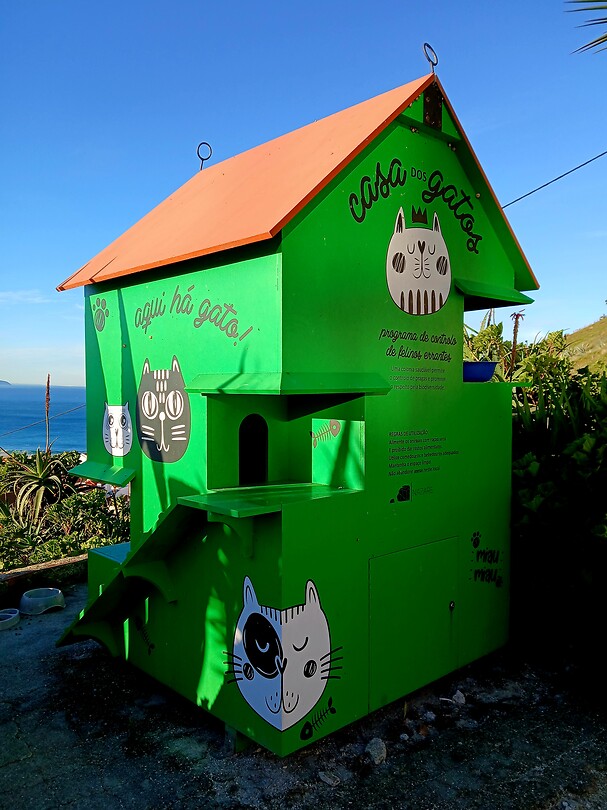 Kattenhuisje