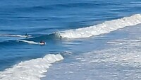 Surfer pakt een golf