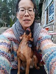 Mini hondje springt op mijn schoot