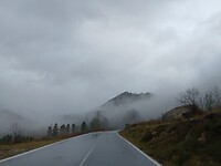 Veel mist