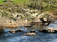 Mini-hotspring in de kant van de rivier?