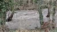Veel stroming in de rivier