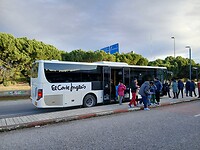Gratis bus van en naar het centrum