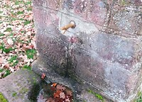 Lekker bergwater uit fontein