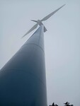 Windmolen in het bos?