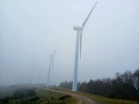 Windmolens naast de weg
