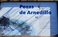 Baden van Arnedillo