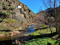 Rivier Cicados