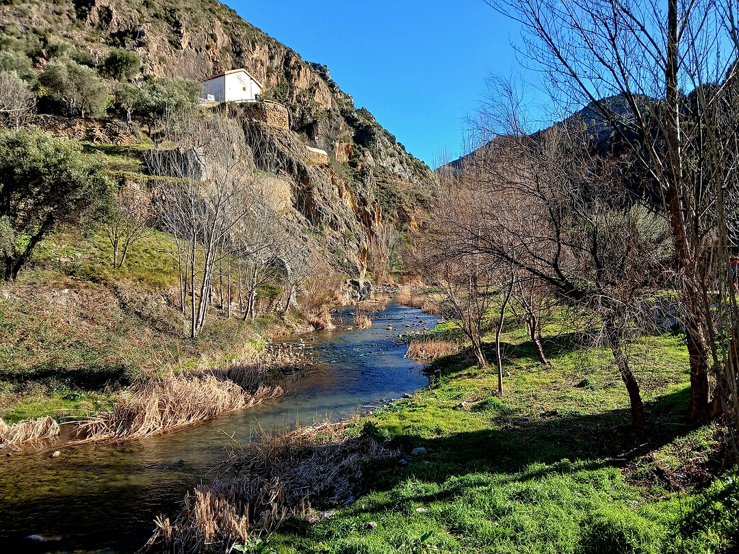 Rivier Cicados