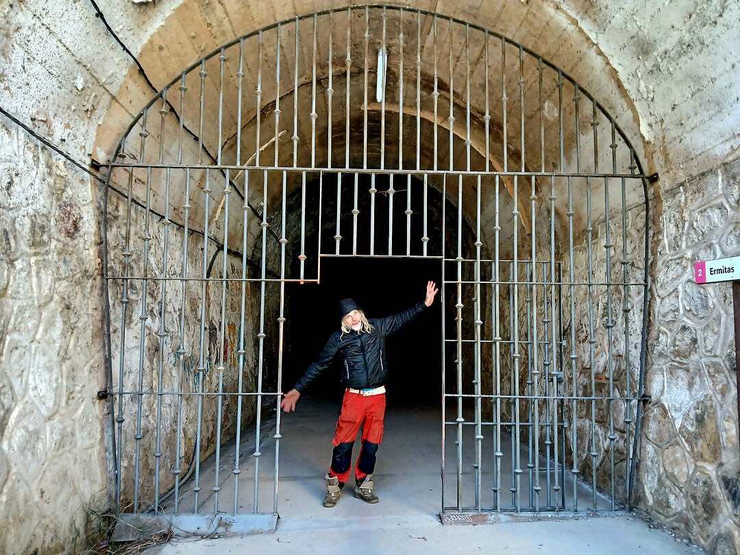 Poort 'Green Trail of Cicados'