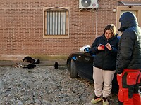 Vrouw geeft elke dag eten aan de straatkatten