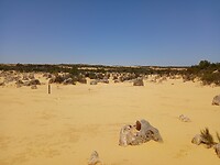 Pinnacles desert 6