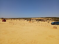 Pinnacles desert 8