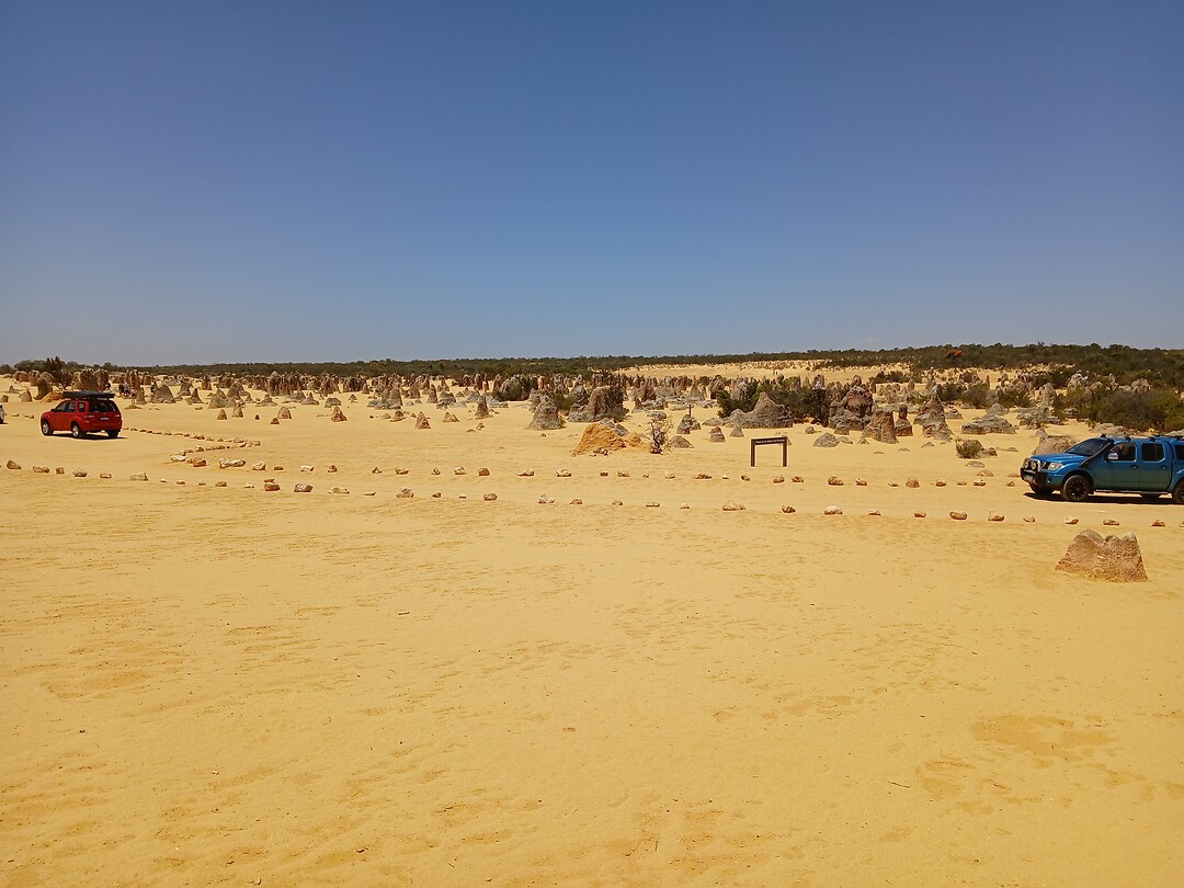 Pinnacles desert 8