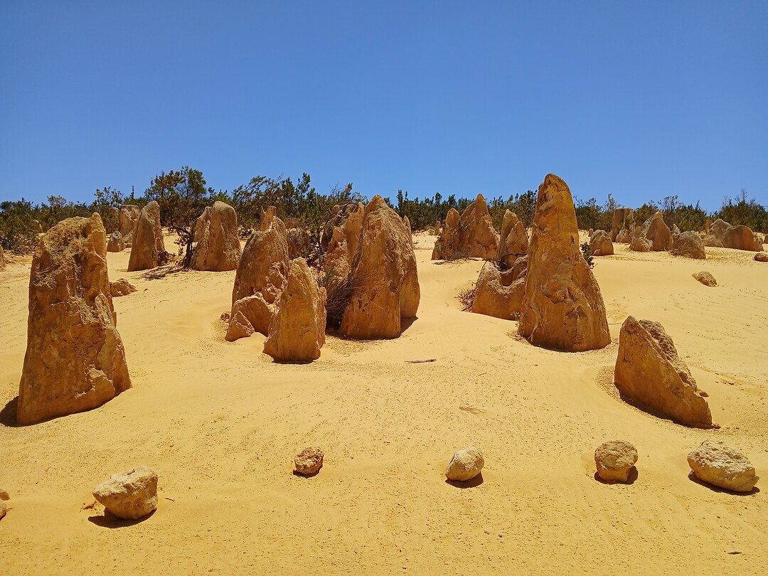 Pinnacles desert 9