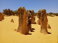 Pinnacles desert 10