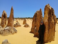 Pinnacles desert 12