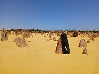 Pinnacles desert 16