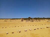Pinnacles desert 18