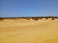 Pinnacles desert 21